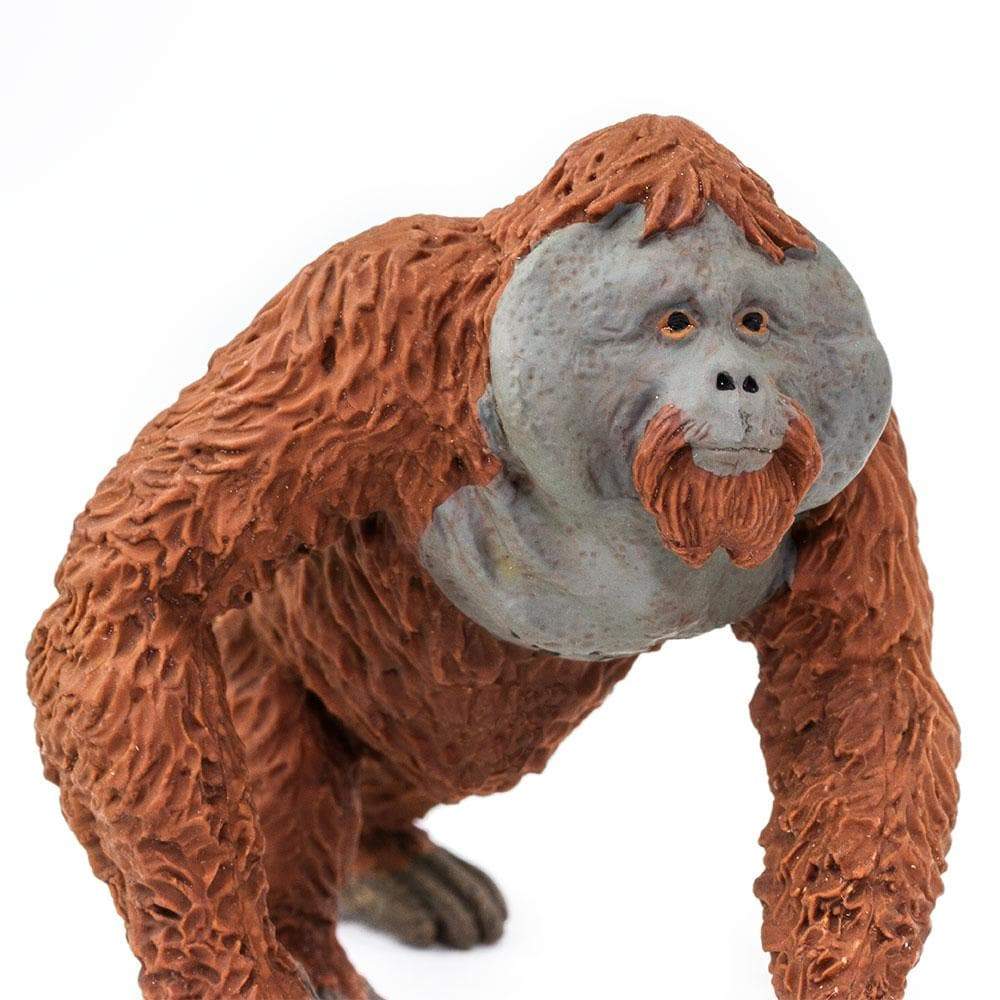 Male Orangutan Toy-4
